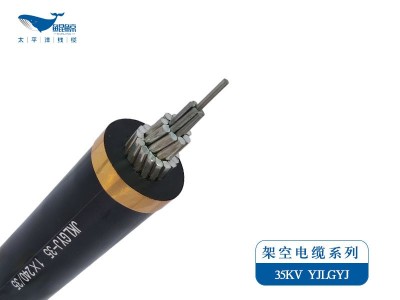 架空電纜系列JKLYJ，JKLGYJ 0.6/1KV